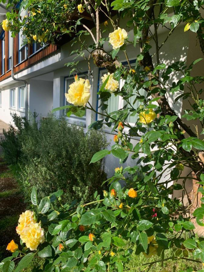 Ferienwohnung Am Krippenhof バーデン＝バーデン エクステリア 写真